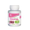 echinacea
