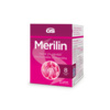 GS_MERILIN_banner_1
