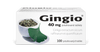 Gingio_40_100tbl_F_2025_nove_logo