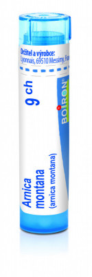 Arnica montana 9.jpg