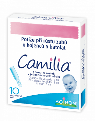 3D Camilia10 P (RGB).png