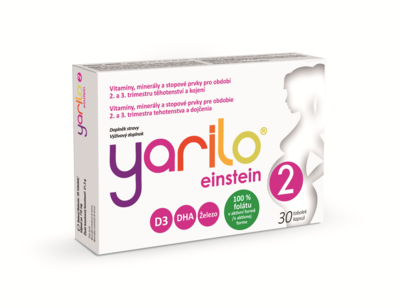 Yarilo_einstein_2_box_3D_L