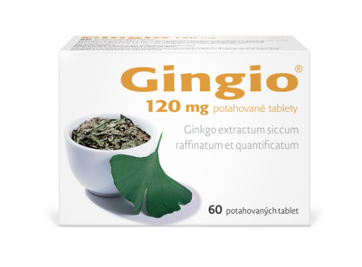 Gingio_120_60tbl_F_2025_nove_logo