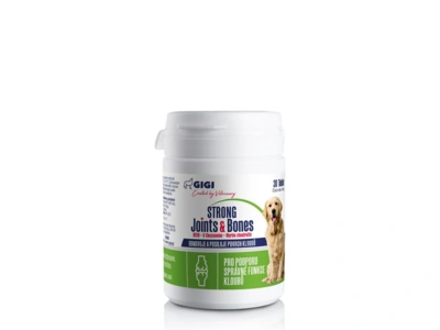165_gigi-strong-joints-and-bones-30