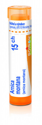 Arnica montana 15.jpg