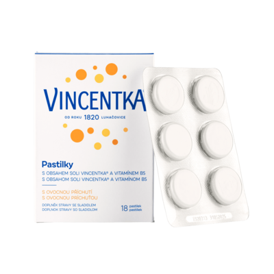 vincentka-ovocne-pastilky-skupina (1)-min (1)