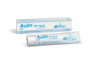 Aulingel_22_3D_vizualizace-50