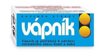vapnik_vit_d_3