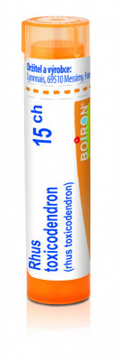 Rhus toxicodendron 15.jpg