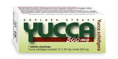 yucca