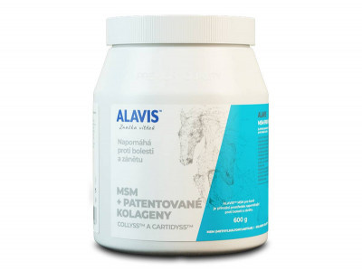 alavis-msm-pro-kone-600g.jpeg