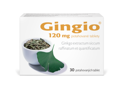 Gingio_120_30tbl_F_2025_nove_logo
